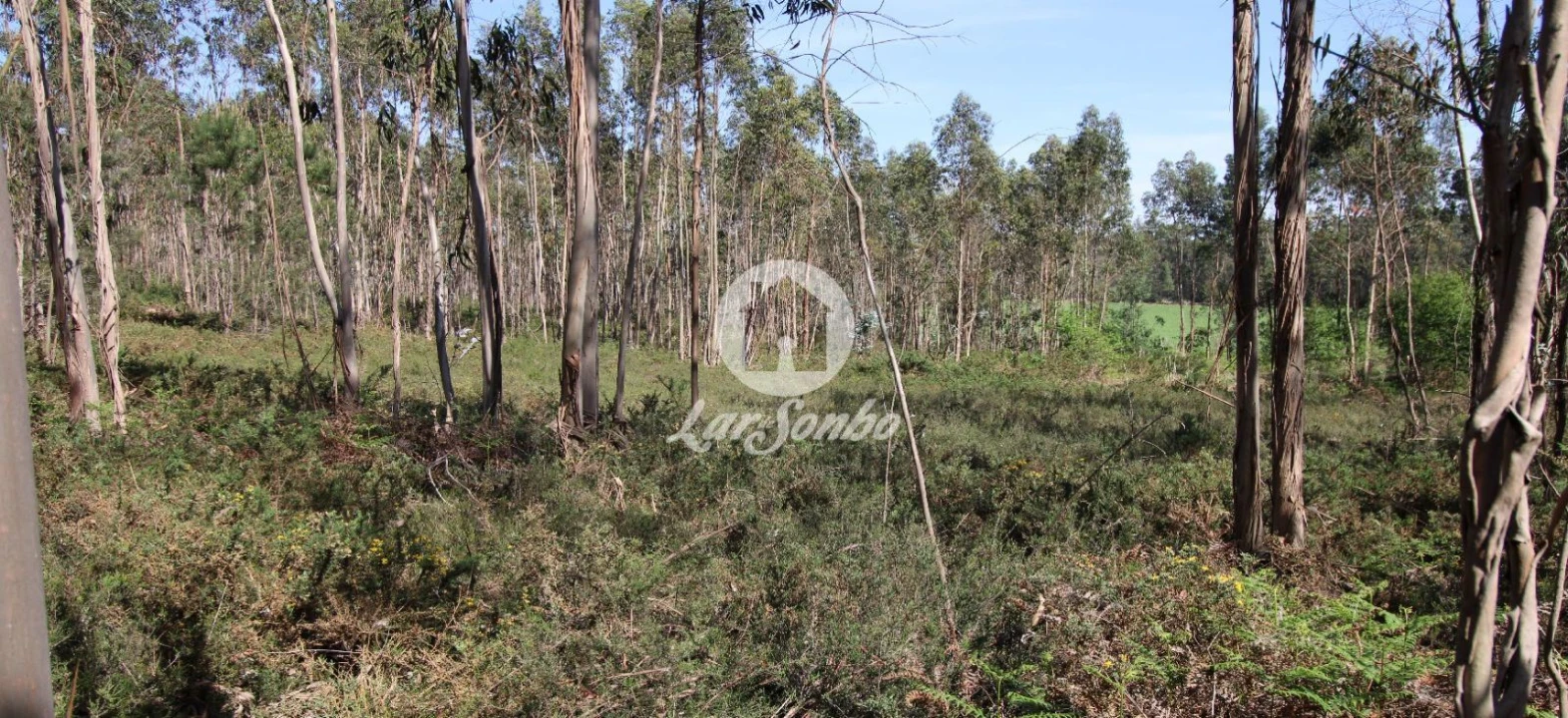 Terreno Agricola ou Rústico para Venda em Fradelos Foto 3