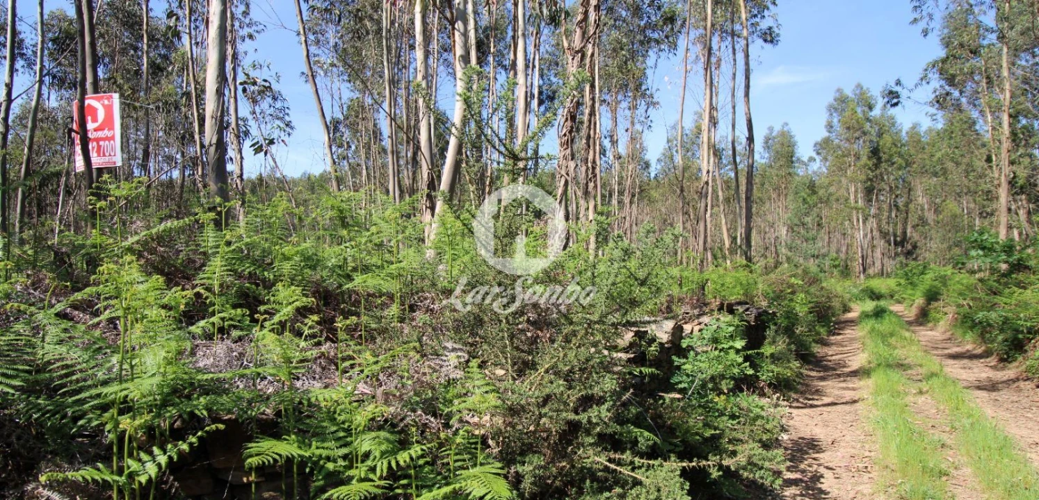 Terreno Agricola ou Rústico para Venda em Fradelos Foto 2