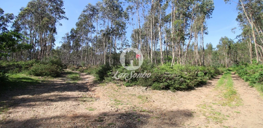 Terreno Agricola ou Rústico para Venda em Fradelos Foto 4