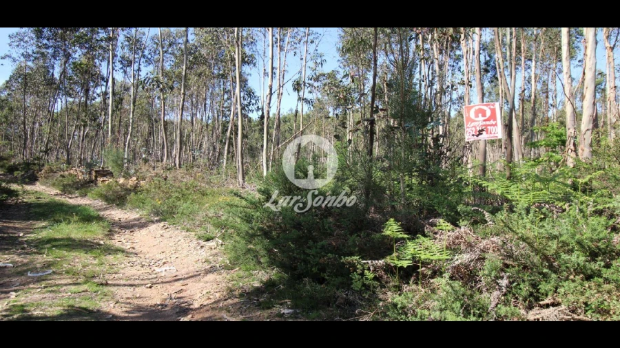 Terreno Agricola ou Rústico para Venda em Fradelos