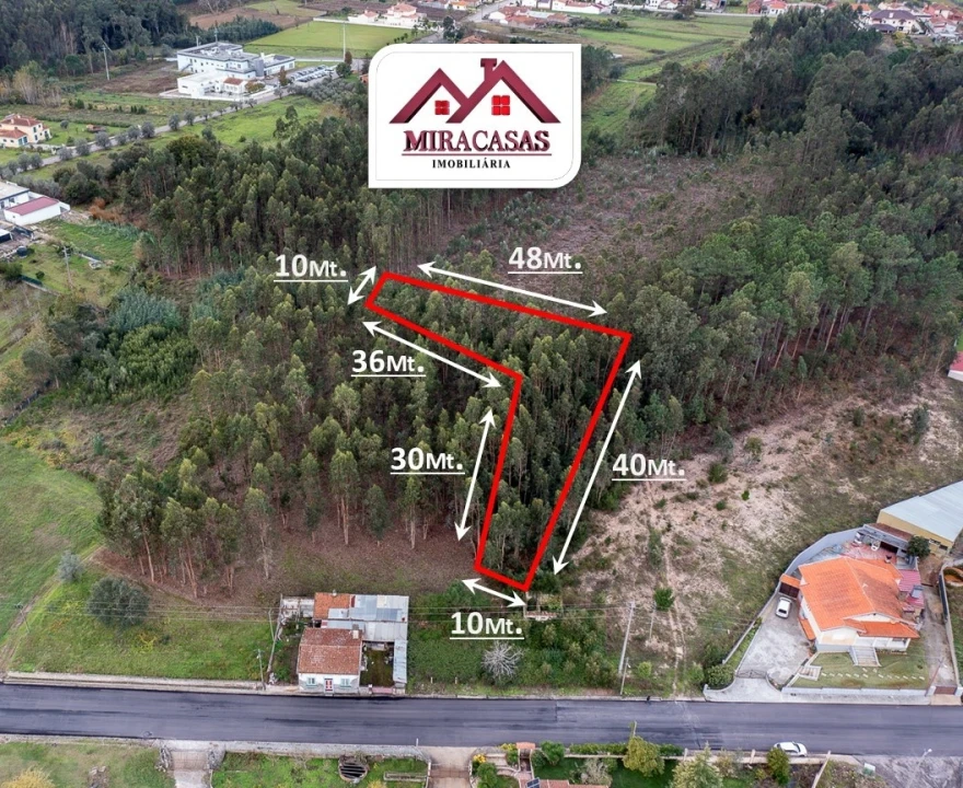 Terreno Agricola ou Rústico para Venda em Covões e Camarneira Foto 1