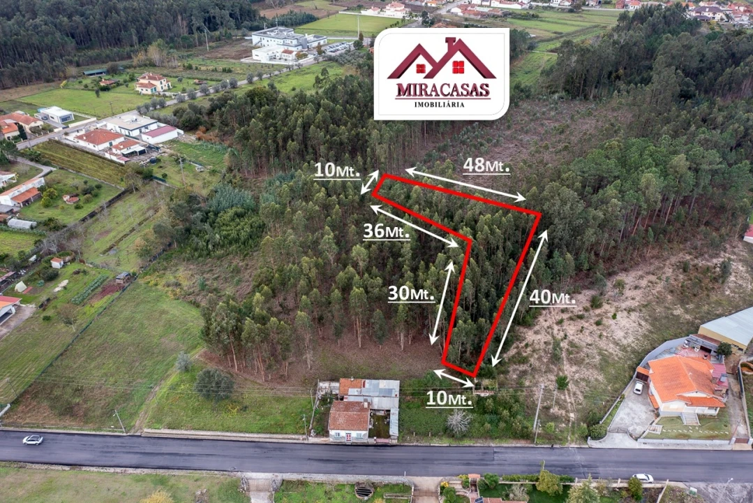 Terreno Agricola ou Rústico para Venda em Covões e Camarneira Foto 2