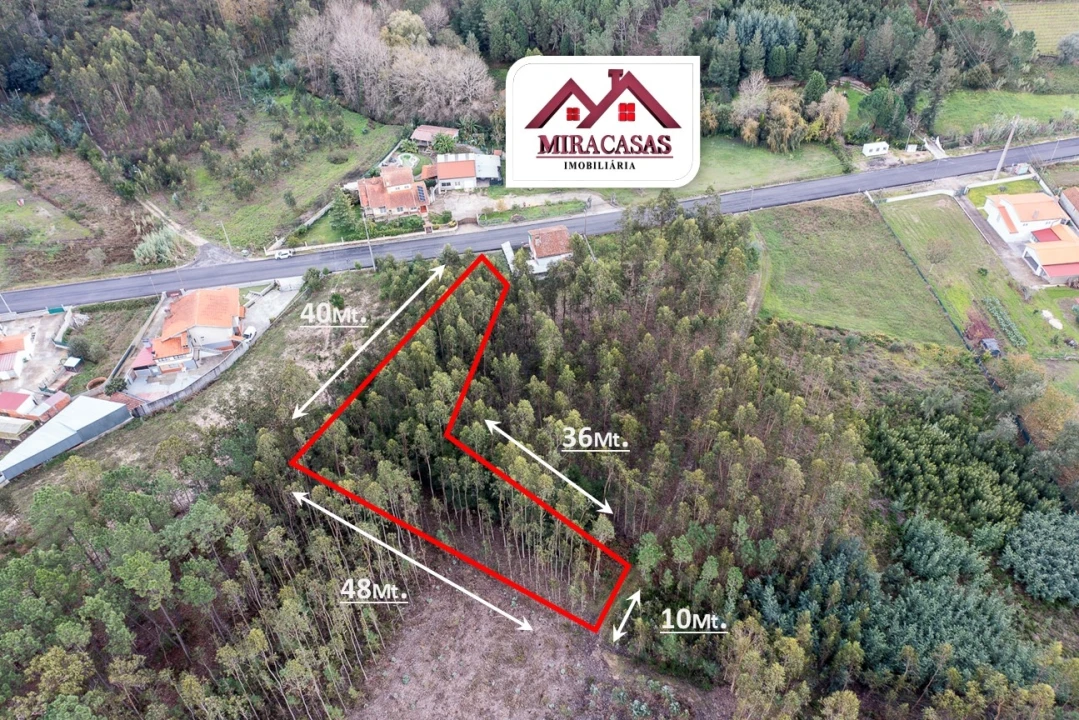 Terreno Agricola ou Rústico para Venda em Covões e Camarneira Foto 3