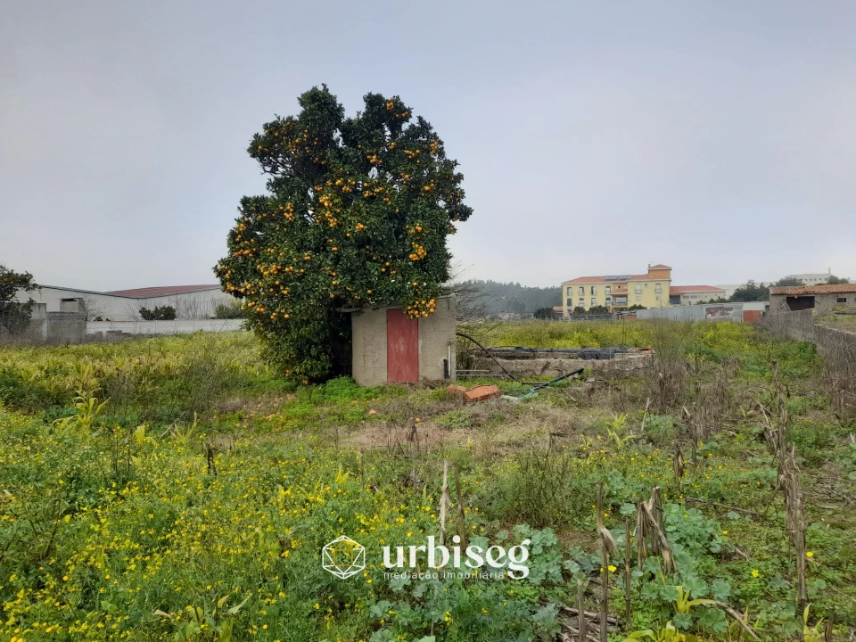 Moradia T3 para Venda em Paião Foto 8
