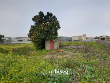 Moradia T3 para Venda em Paião