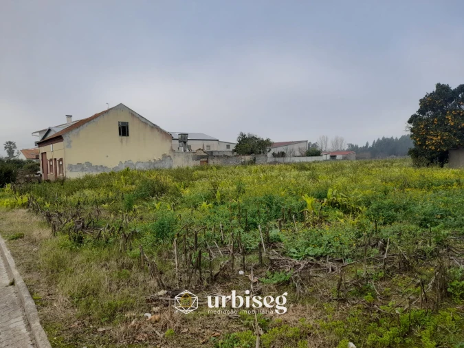 Moradia T3 para Venda em Paião Foto 2