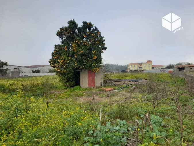 Moradia T3 para Venda em Paião Foto 26