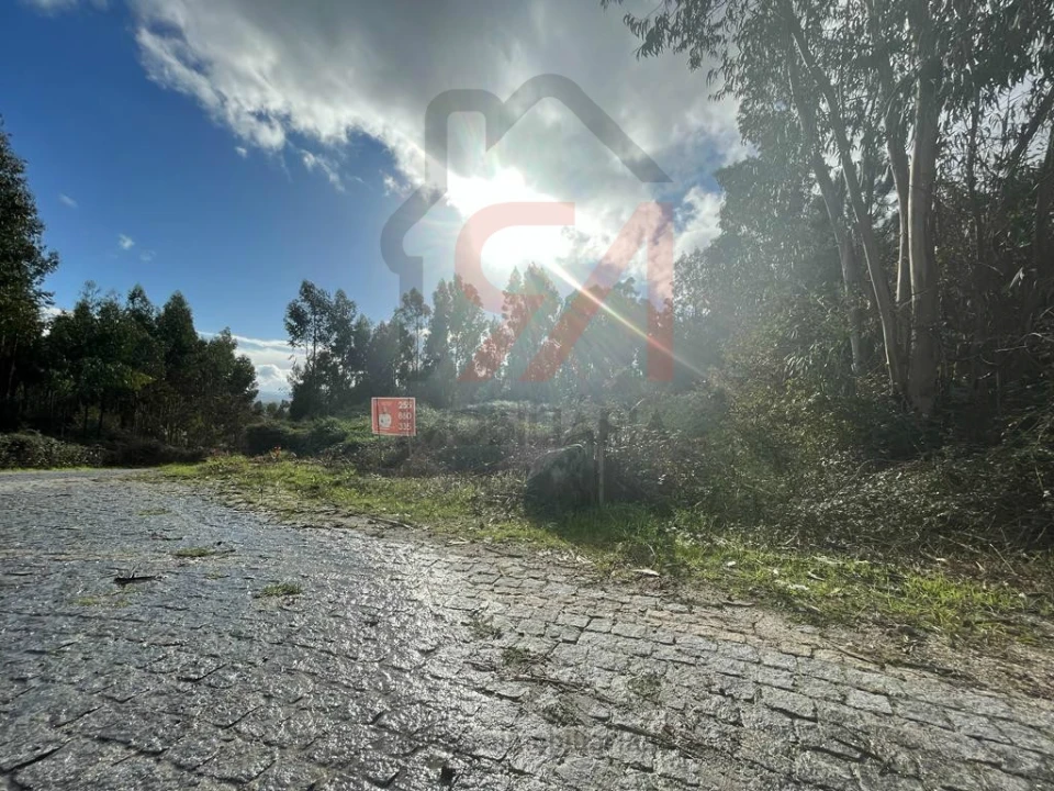 Terreno para Venda em Sanfins Lamoso Codessos Foto 5