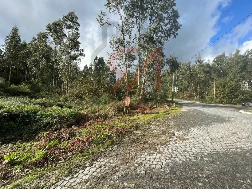 Terreno para Venda em Sanfins Lamoso Codessos Foto 7