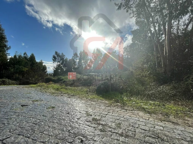 Terreno para Venda em Sanfins Lamoso Codessos Foto 5