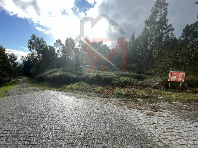 Terreno para Venda em Sanfins Lamoso Codessos Foto 3