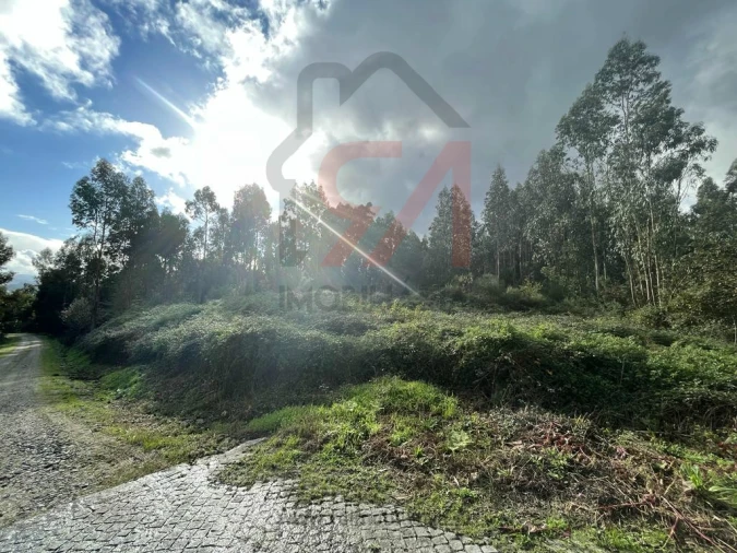 Terreno para Venda em Sanfins Lamoso Codessos Foto 8