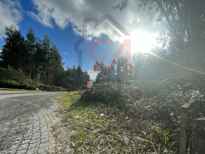 Terreno para Venda em Sanfins Lamoso Codessos Foto 6