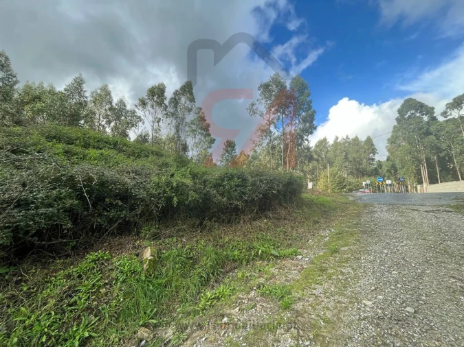 Terreno para Venda em Sanfins Lamoso Codessos Foto 9