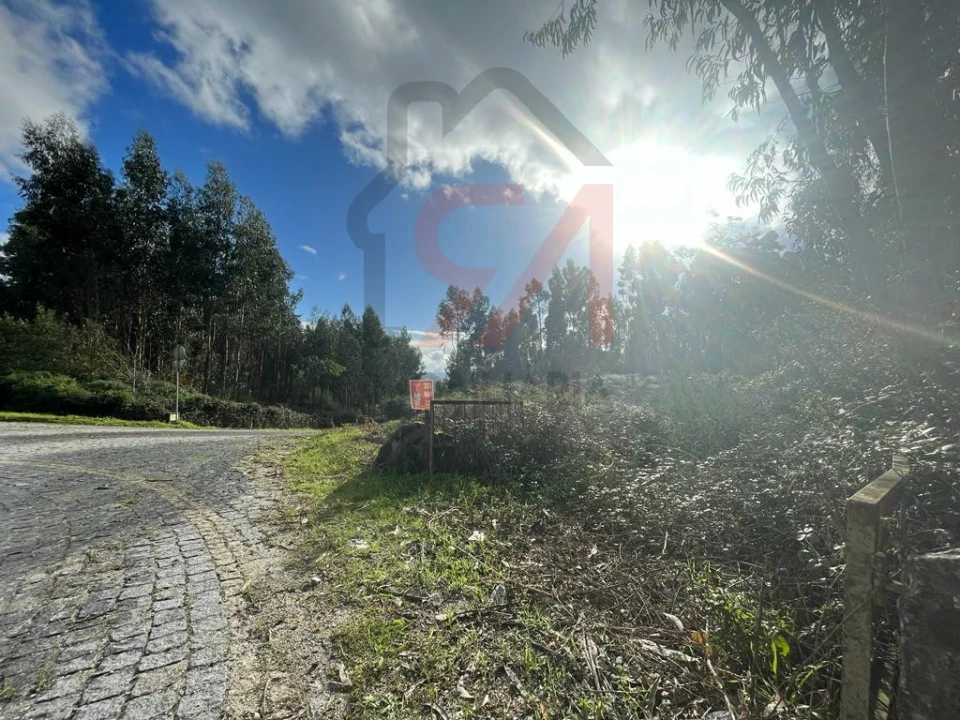 Terreno para Venda em Sanfins Lamoso Codessos Foto 6