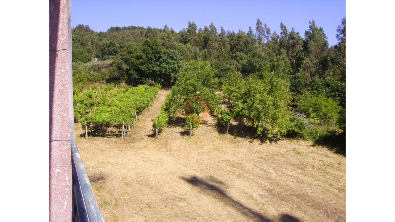 Prédio para Venda em Vila e Roussas Foto 11