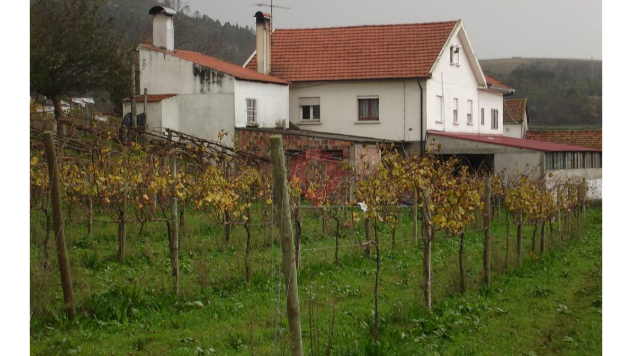 Quinta T4 para Venda em Messegães, Valadares e Sá Foto 7