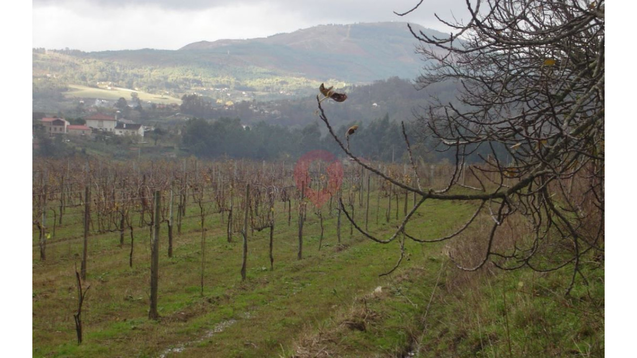 Quinta T4 para Venda em Messegães, Valadares e Sá Foto 4