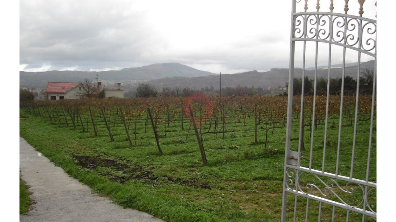 Quinta T4 para Venda em Messegães, Valadares e Sá Foto 2