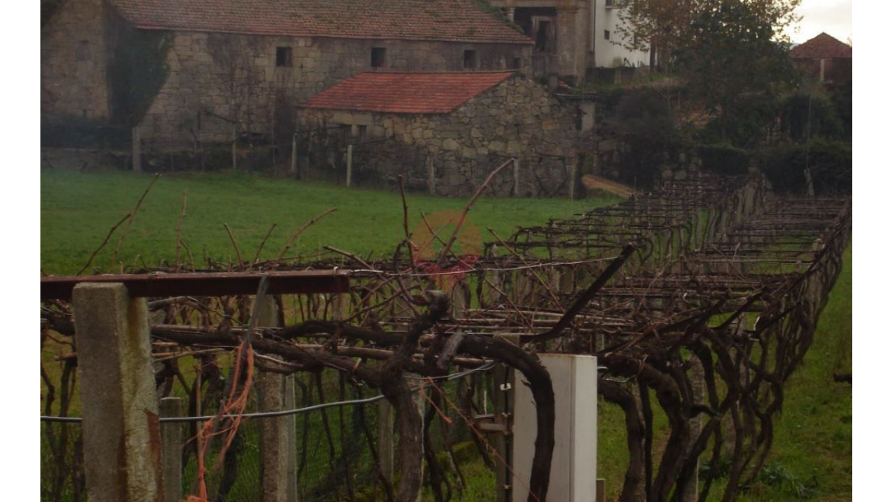 Quinta T4 para Venda em Messegães, Valadares e Sá Foto 5