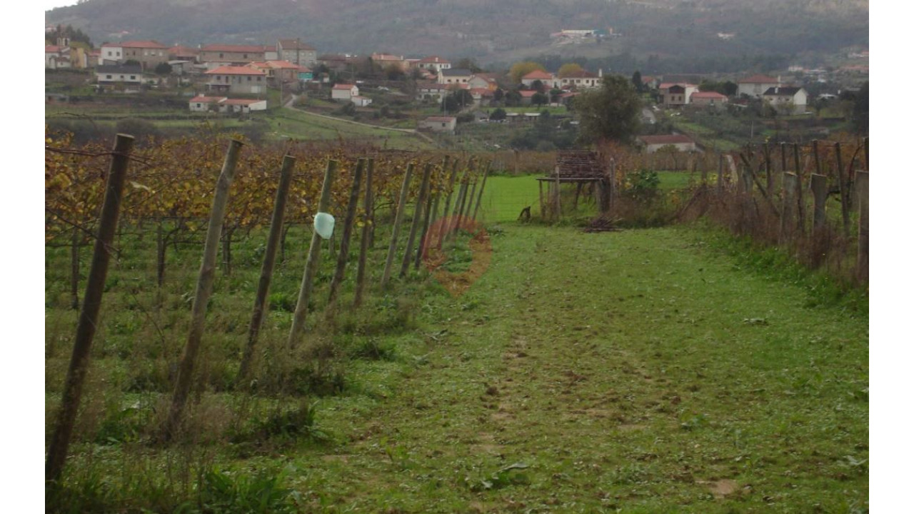 Quinta T4 para Venda em Messegães, Valadares e Sá Foto 3