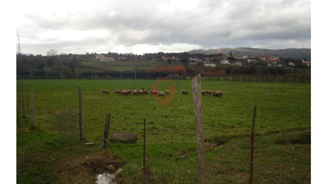 Quinta T4 para Venda em Messegães, Valadares e Sá Foto 6