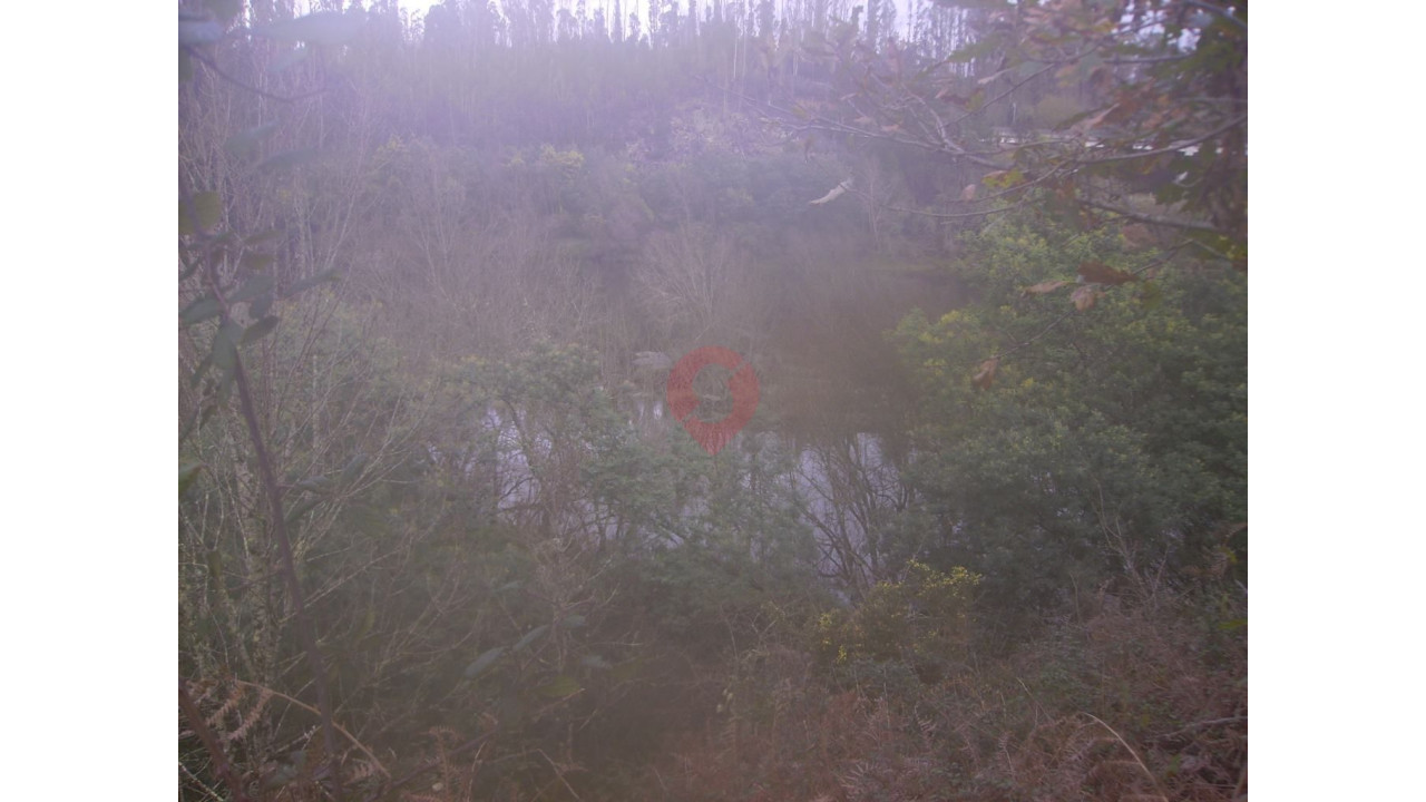 Moradia T0 para Venda em Monção e Troviscoso Foto 3