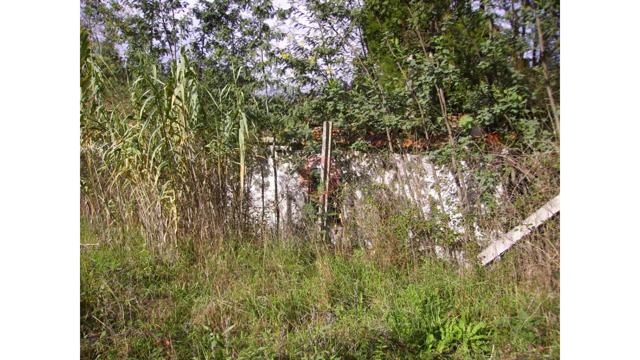 Moradia T0 para Venda em Monção e Troviscoso Foto 9