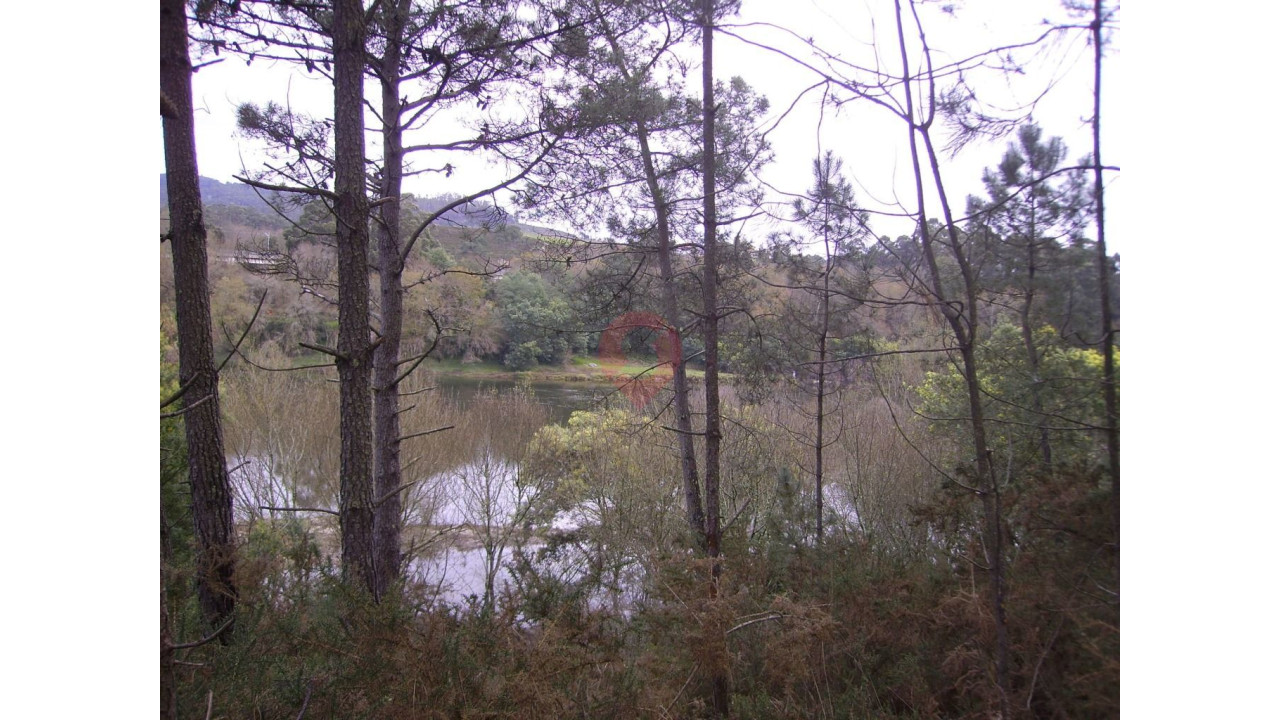 Moradia T0 para Venda em Monção e Troviscoso