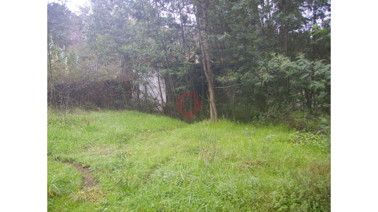 Moradia T0 para Venda em Monção e Troviscoso Foto 8