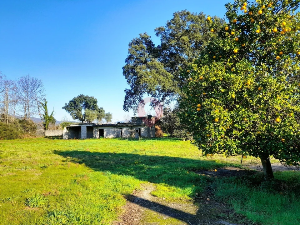 Quinta T3 para Venda em Barbeita Foto 15