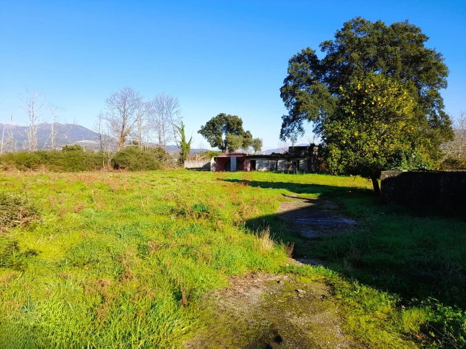 Quinta T3 para Venda em Barbeita Foto 16