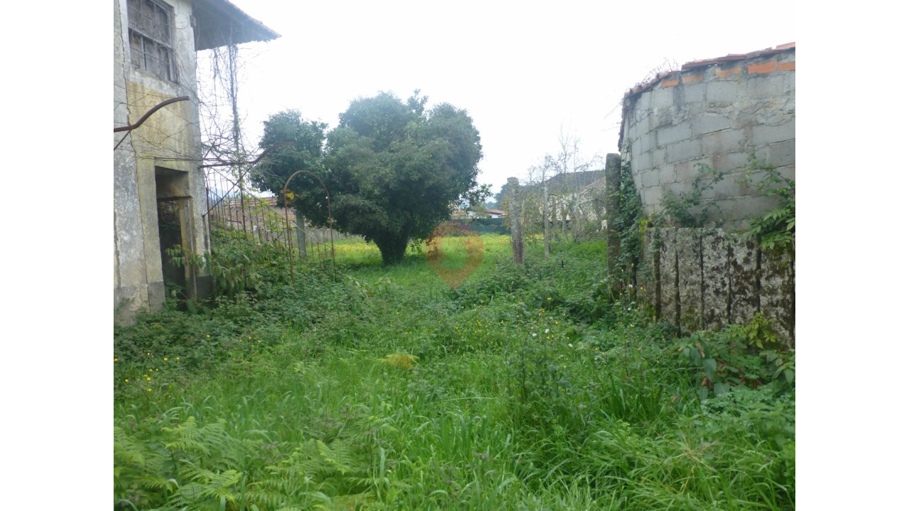 Moradia T2 para Venda em Mazedo e Cortes Foto 4