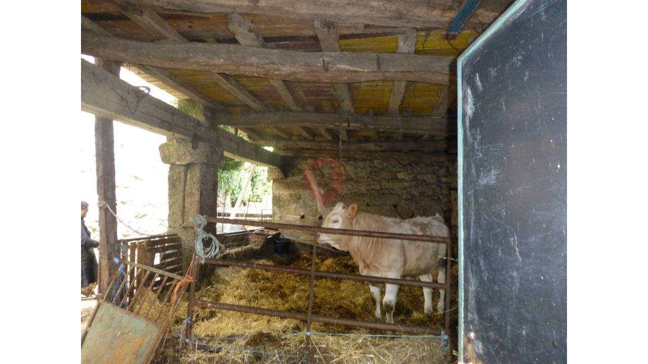 Moradia T3 para Venda em Castro Laboreiro e Lamas de Mouro Foto 8