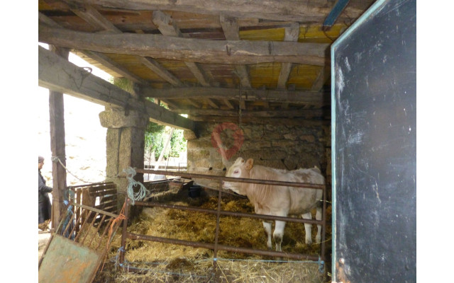 Moradia T3 para Venda em Castro Laboreiro e Lamas de Mouro