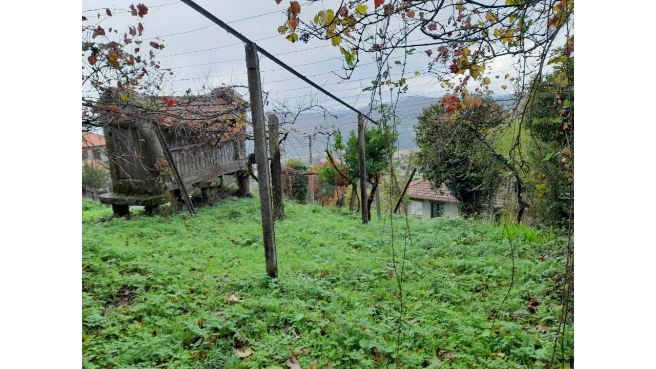 Moradia T0 para Venda em Tangil Foto 5