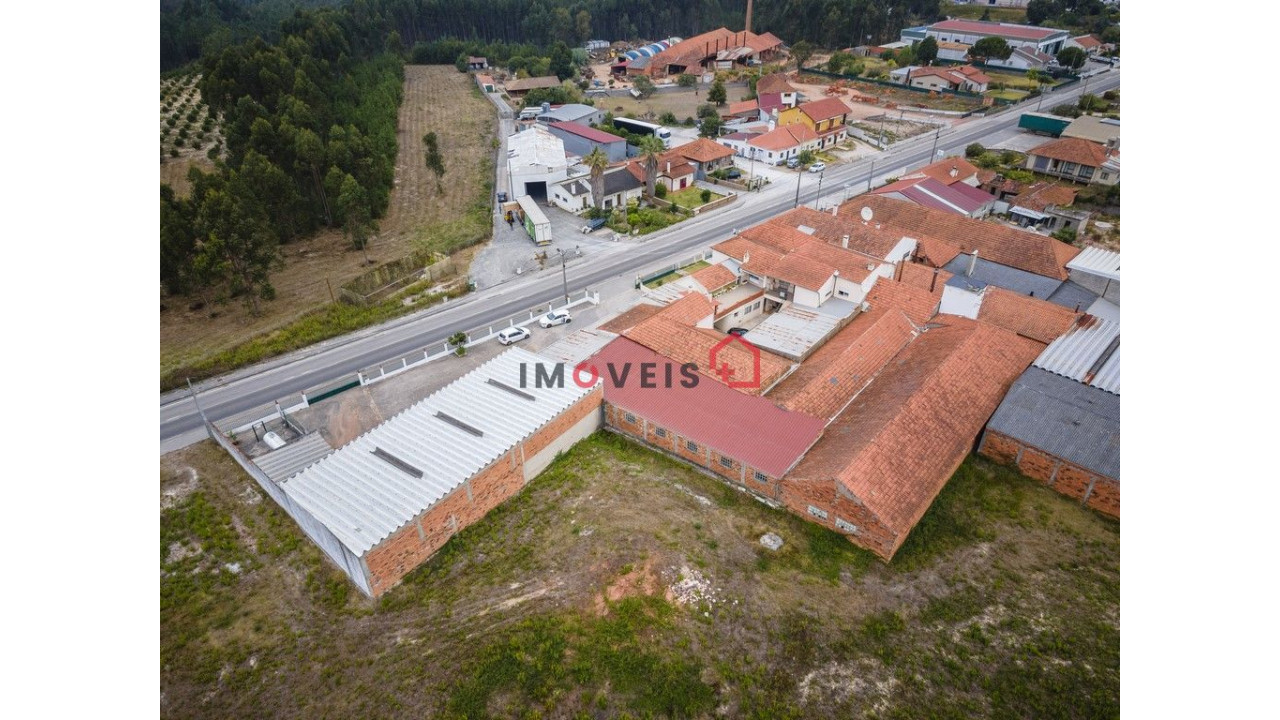 Armazém para Venda em Pedreiras Foto 5