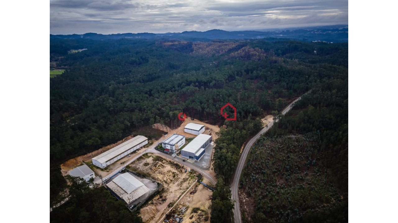 Armazém para Venda em Matas e Cercal Foto 8