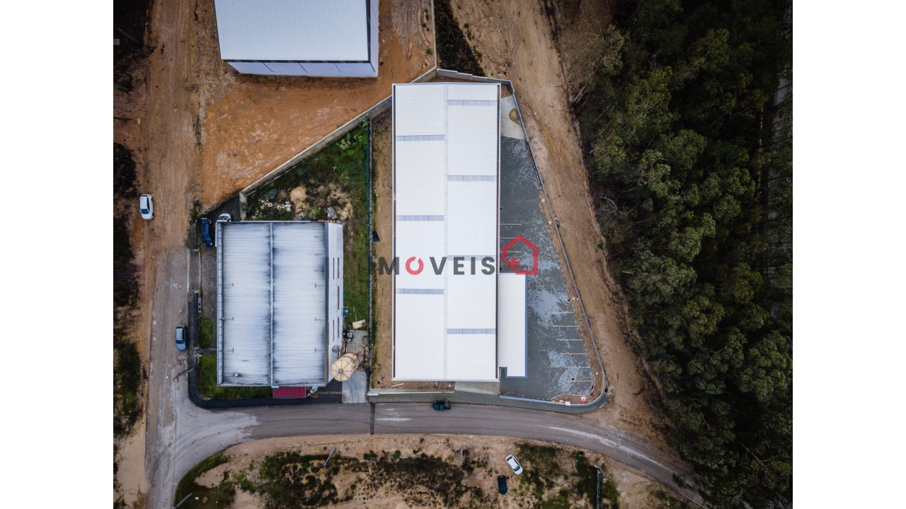 Armazém para Venda em Matas e Cercal Foto 5