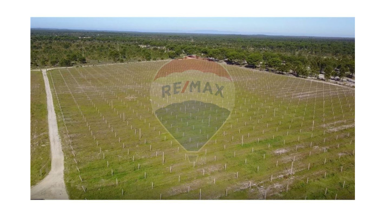 Terreno P/ Prédio para Venda em Grândola e Santa Margarida da Serra Foto 10