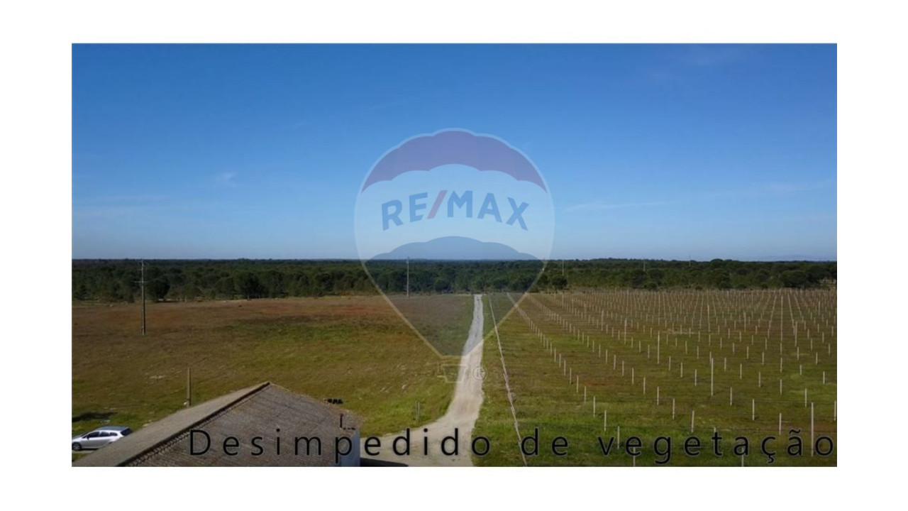 Terreno P/ Prédio para Venda em Grândola e Santa Margarida da Serra Foto 9