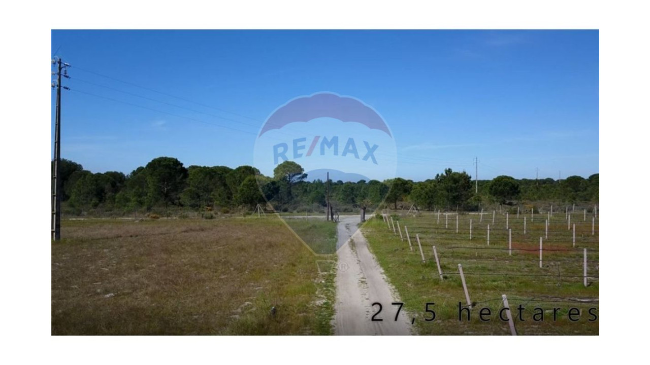 Terreno P/ Prédio para Venda em Grândola e Santa Margarida da Serra Foto 3