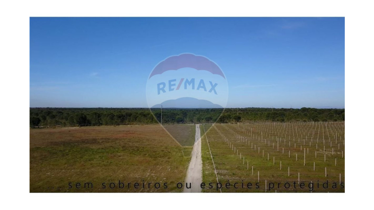 Terreno P/ Prédio para Venda em Grândola e Santa Margarida da Serra Foto 15