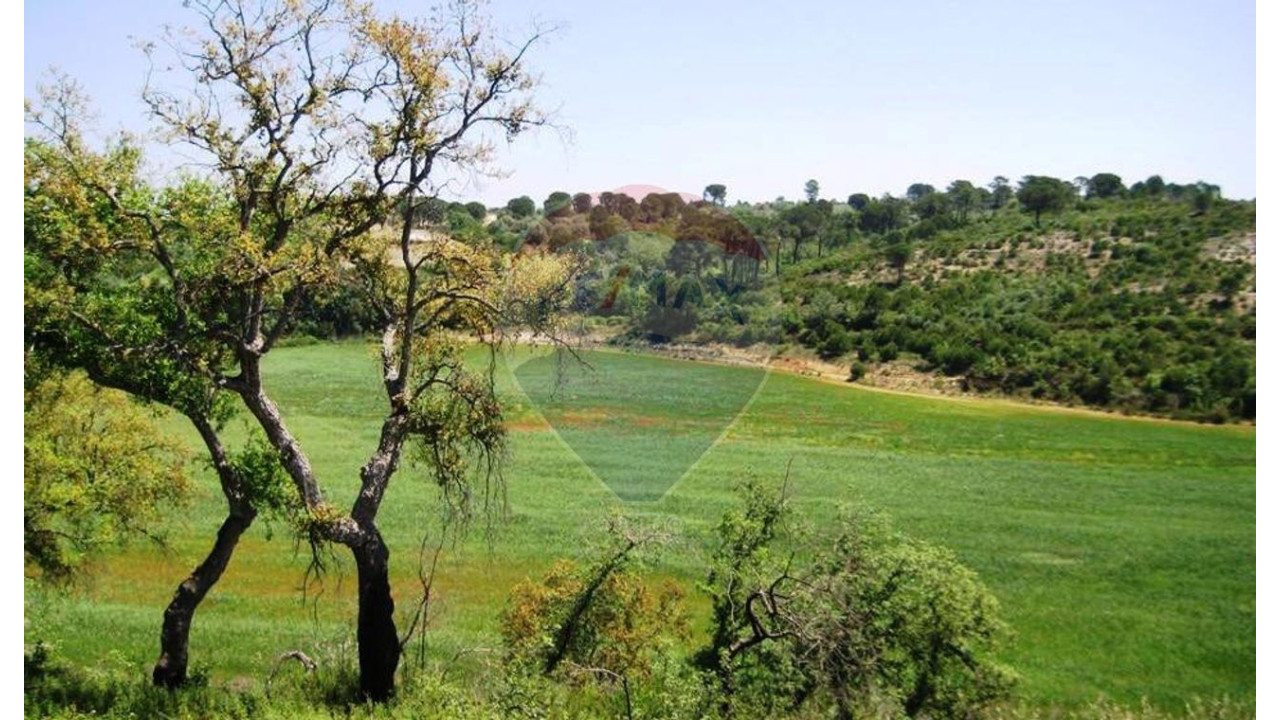 Terreno P/ Prédio para Venda em Carregueiros