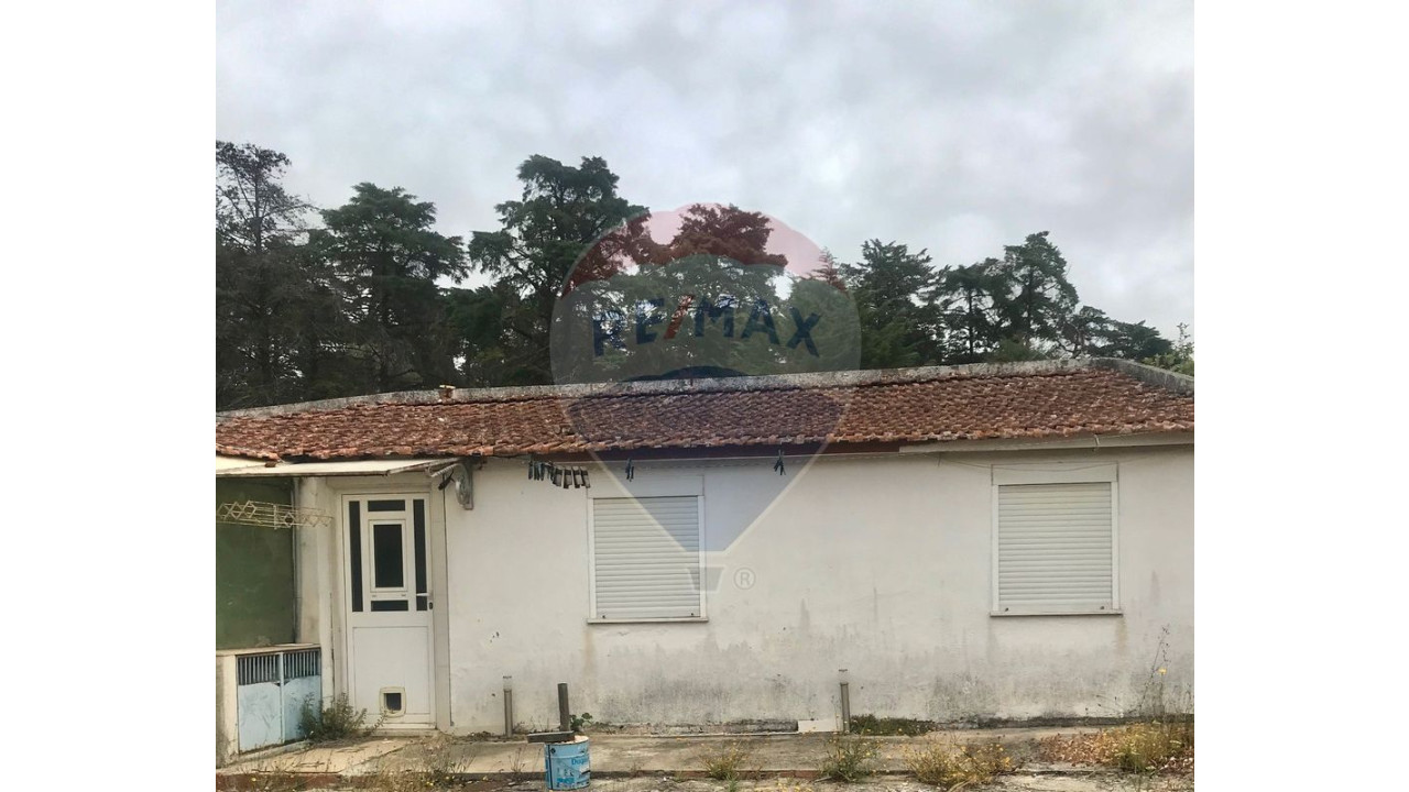 Terreno P/ Prédio para Venda em Queluz e Belas Foto 3