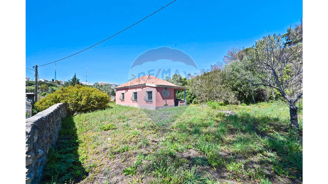 Quinta T7 para Venda em Palmela Foto 19
