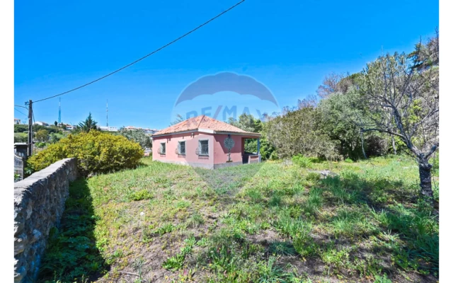 Quinta T7 para Venda em Palmela Foto 19
