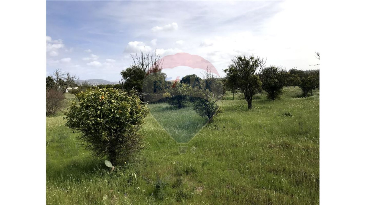 Terreno P/ Prédio para Venda em Quarteira Foto 5