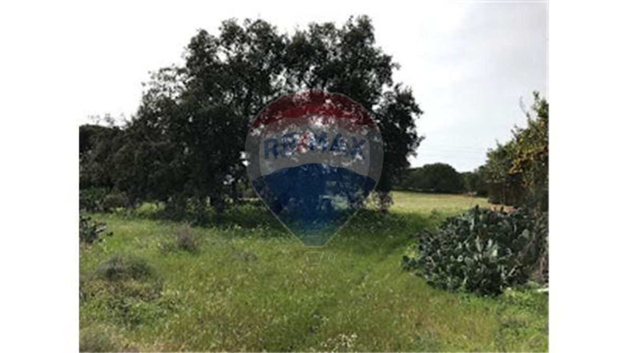 Terreno P/ Prédio para Venda em Quarteira Foto 2