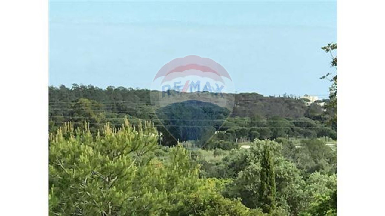 Terreno P/ Prédio para Venda em Almancil Foto 7